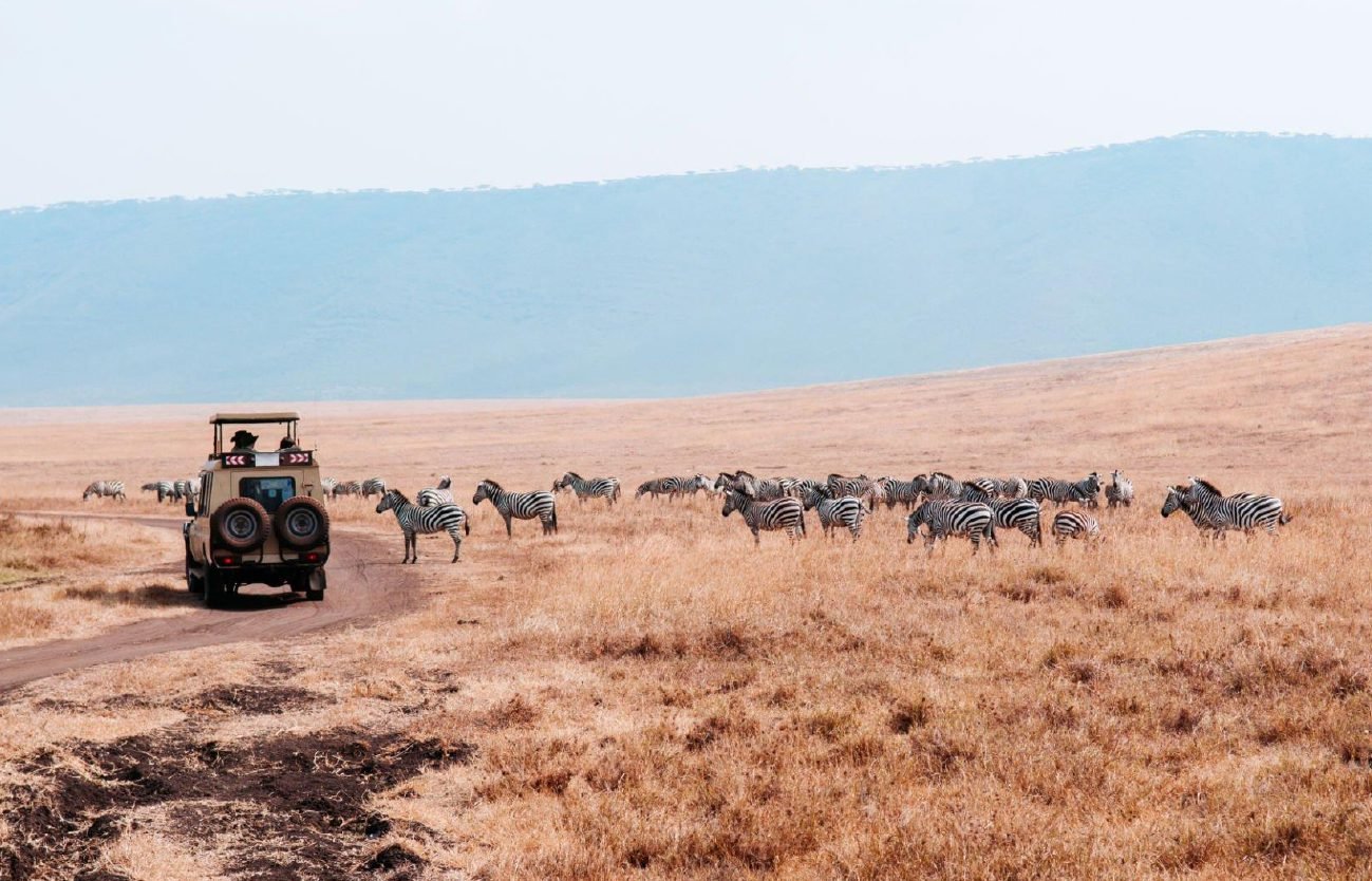 Serengeti_001.jpg
